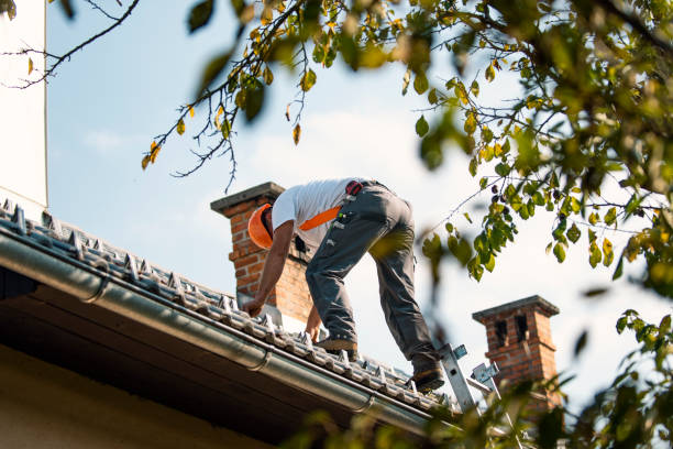 Best Best Roofing Contractors  in Franklin Grove, IL