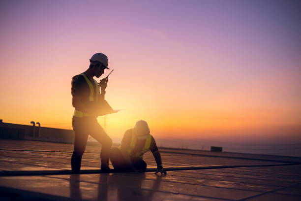 Best Flat Roof Repair Services  in Franklin Grove, IL