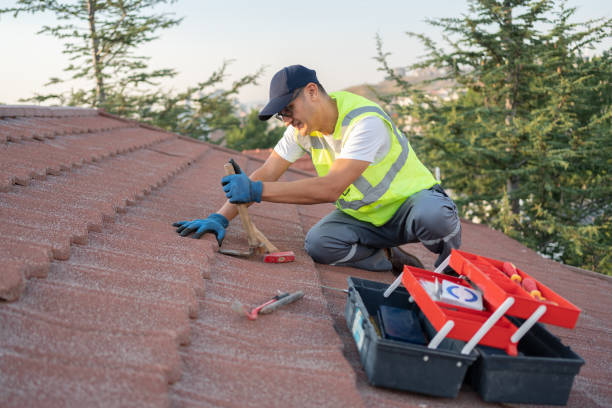 Best Roof Gutter Cleaning  in Franklin Grove, IL