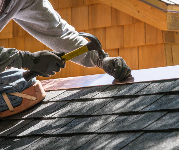 Best Roof Leak Repair  in Franklin Grove, IL